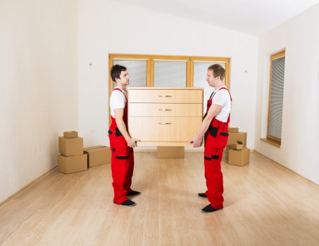 Professional Freezywater van and man service for local moves