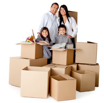 Packing and furniture collection support