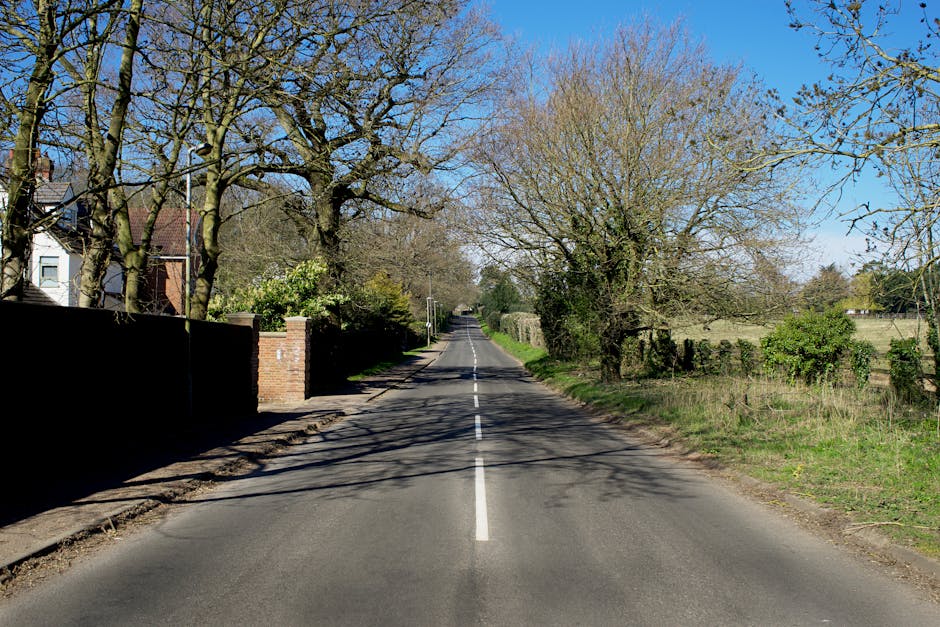 A quiet residential street during daytime with a straight asphalt road marked by a single dashed white line down the center. On the left side, a brick wall and a house are partially visible behind leafless trees with thick branches extending over the road, casting shadows across the pavement. The right side features a grassy verge with a few small green bushes and more leafless trees, indicating early spring or late autumn. In the background, the road continues towards a distant horizon lined with additional trees and rural landscape, under a clear blue sky. This scene represents a typical quiet suburban or rural area suitable for home relocation and furniture transport, as often handled by professional removals companies such as Man with Van Freezywater, supporting efficient packing and loading processes.