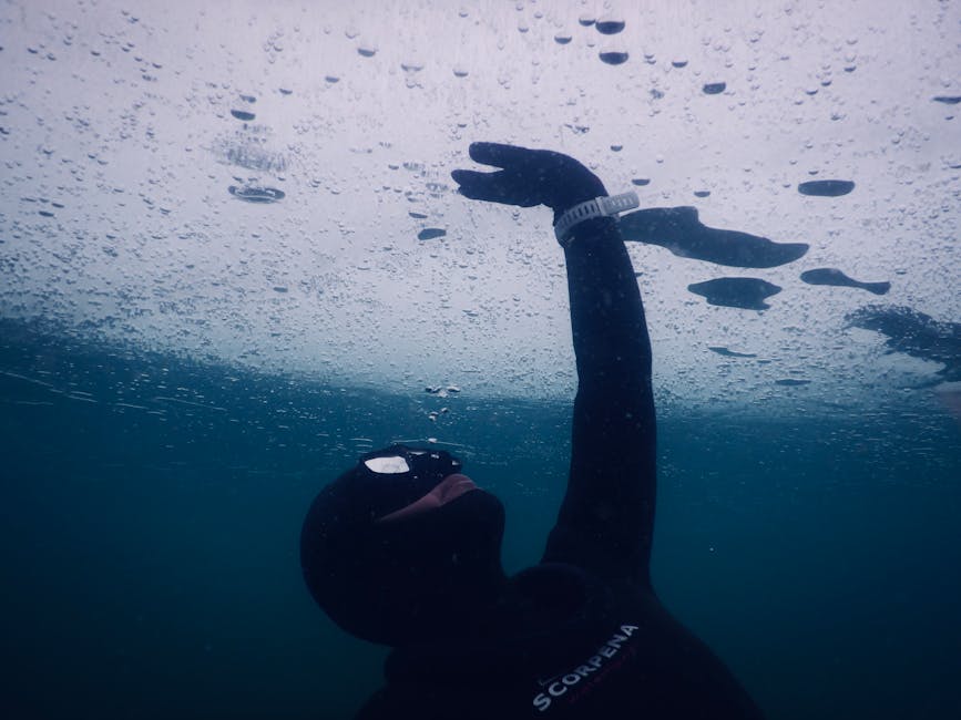 A person wearing a wetsuit, gloves, and a diving mask is submerged underwater, reaching upward with one arm extended towards the water's surface, which is visible above them with ripples and bubbles. The underwater environment is dark blue with limited light penetration, and the person's silhouette contrasts against the lighter water surface. This image captures a moment of underwater activity, such as diving or swimming, demonstrating the use of specialized gear in a possibly recreational or professional aquatic setting. The context relates to water-based pursuits, potentially connected to adventure activities or aquatic transport, aligning loosely with themes of movement and exploration in water environments, as seen in house removals involving transport logistics or packing for water-related activities.
