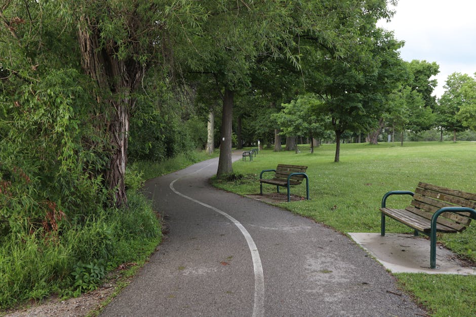A quiet park pathway with a narrow, winding asphalt surface, lined with tall green trees on both sides, providing shade and a natural setting for outdoor activities. Several wooden benches with metal armrests are positioned along the grassy verge on the right, offering seating for visitors. The benches are mounted on concrete pads, and some appear slightly weathered. The path is bordered by lush grass and dense foliage on the left, with a large tree trunk and leafy branches extending overhead. The background shows more trees, a few park benches, and a partly cloudy sky, creating a peaceful atmosphere suitable for walking, relaxation, or home relocation activities involving the transportation of furniture and boxes. The scene reflects an outdoor environment where moving and packing services, like those provided by Man with Van Freezywater, might coordinate to facilitate residential moves in scenic, urban, or suburban parks.