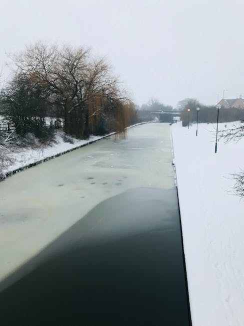 A quiet park pathway with a narrow, winding asphalt surface, lined with tall green trees on both sides, providing shade and a natural setting for outdoor activities. Several wooden benches with metal armrests are positioned along the grassy verge on the right, offering seating for visitors. The benches are mounted on concrete pads, and some appear slightly weathered. The path is bordered by lush grass and dense foliage on the left, with a large tree trunk and leafy branches extending overhead. The background shows more trees, a few park benches, and a partly cloudy sky, creating a peaceful atmosphere suitable for walking, relaxation, or home relocation activities involving the transportation of furniture and boxes. The scene reflects an outdoor environment where moving and packing services, like those provided by Man with Van Freezywater, might coordinate to facilitate residential moves in scenic, urban, or suburban parks.