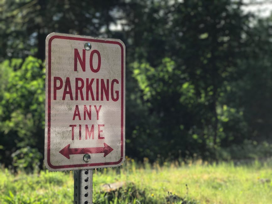 A rectangular traffic sign mounted on a metal pole, displaying the message 'NO PARKING ANY TIME' in bold red capital letters on a white background, with red arrows pointing left and right at the bottom. The sign is positioned on a grassy verge adjacent to a road or driveway in a residential area, with a background of lush green trees and foliage. The setting appears to be outdoors during daytime with natural light illuminating the scene. The sign indicates parking restrictions relevant to house removals or relocation activities by Man with Van Freezywater, assisting in planning furniture transport and loading logistics for home relocation services.